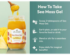 Zuzast Sea Moss Gel Superfood