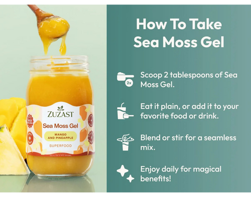 Zuzast Sea Moss Gel Superfood