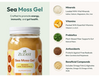 Zuzast Sea Moss Gel Superfood
